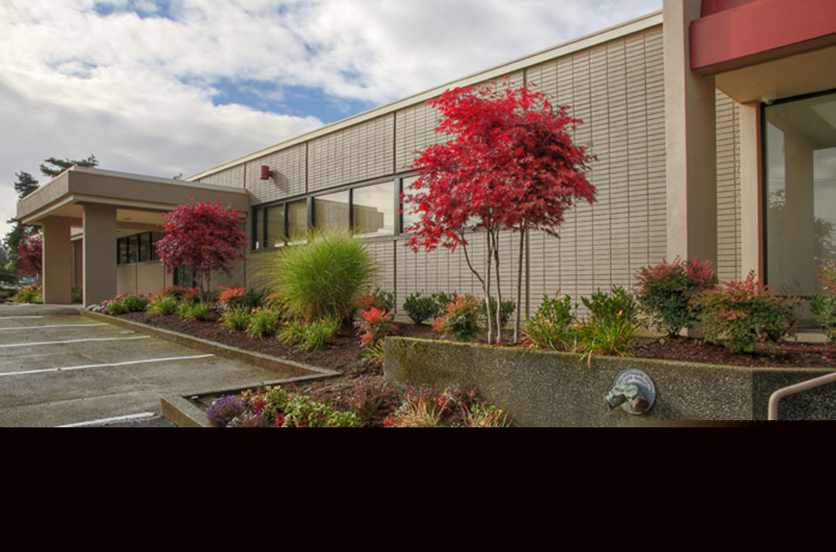 Everett Clinic Evergreen Extension