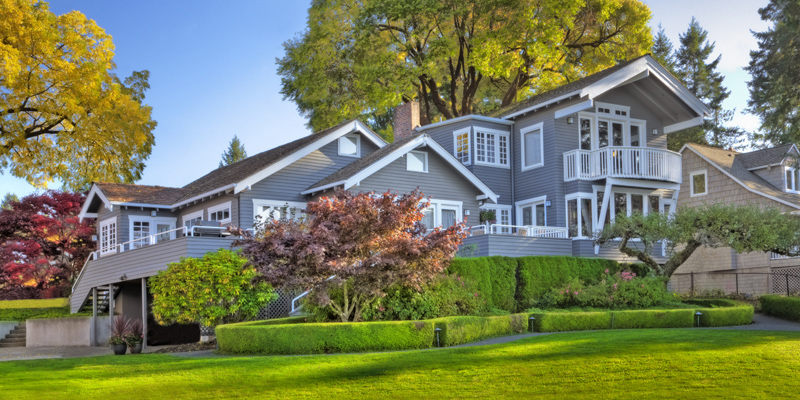 Choose Viva Painting